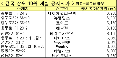 '명동네이처리퍼블릭' 6년째 가장비싸‥3.3㎡ 2억