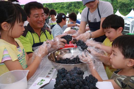 옥천, 23일~25일 포도축제 열린다