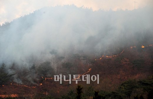 [사진]산불 이어지는 연평도 야산