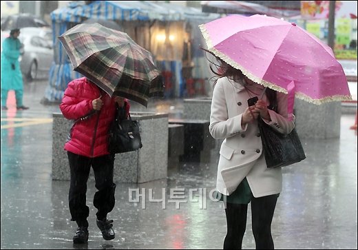 [사진]'전국 강풍 동반한 많은 비'