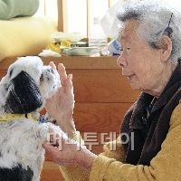 목숨을 살려준 애견, 허브와 피난소에서 지내고 있는 아카누마 씨. <br>
▲사진출처: 요미우리신문