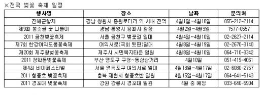 더 예뻐진 봄날의 벗 '벚꽃'