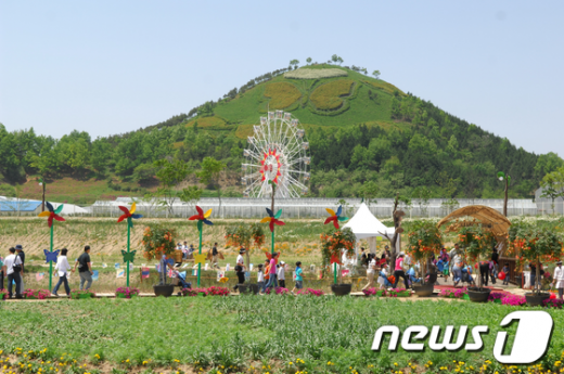 전남 함평 나비축제(자료사진) News1