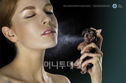 동물의 불필요한 고통을 줄여주세요 동물의 불필요한 고통을 줄여주세요