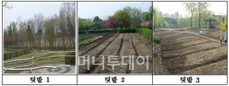 [시티줌]용산가족공원 공동체 텃밭 내일 개장