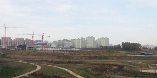 서북권 최대 신도시 '파주운정'… 희망문 열릴까? - 머니투데이