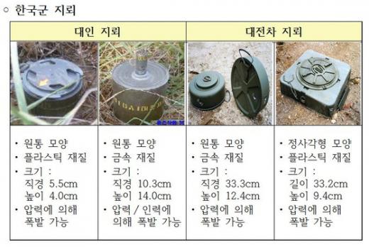 합참, 민통선 이남·후방지역 지뢰제거 실시 - 머니투데이