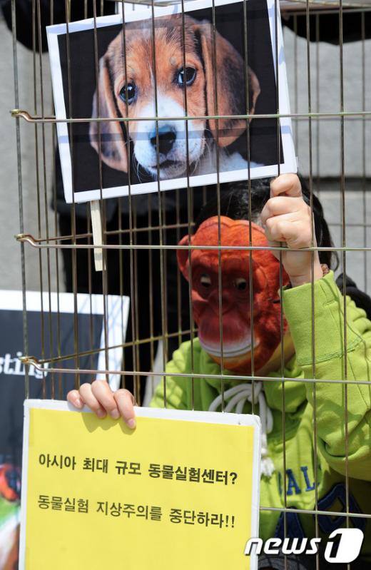 사진]동물보호단체, 동물실험 반대 퍼포먼스 - 머니투데이
