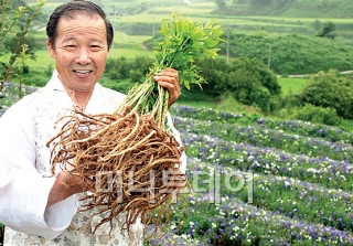 지리산 청정지역에서 생산되는 이성호 원장의 장생 도라지/사진=롯데백화점.