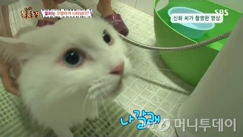 나갈래 나갈래