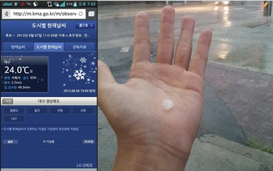 기상청 앱 '대구 눈 내림'… 정작 내린 건 '우박' - 머니투데이