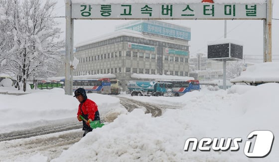 [사진]강릉 눈폭탄, 길을 뚫어라 - 머니투데이