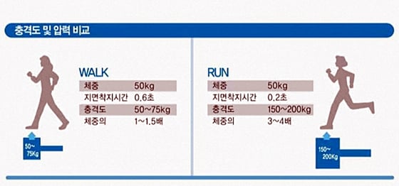 워킹화 사야할까요? 러닝화 사야할까요? - 머니투데이 워킹화 사야할까요? 러닝화 사야할까요? - 머니투데이