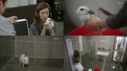 '동물학대 논란'을 불러일으킨 지난 18일 방송 장면 /사진=KBS 2TV '연애의 발견' 방송화면 캡처