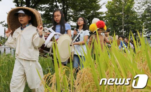 [사진]'추수의 계절이 왔어요!' - 머니투데이