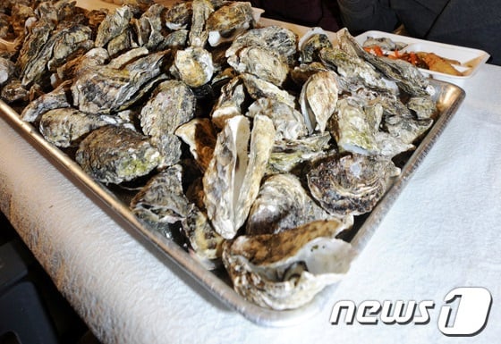 안재모도 걸린 노로바이러스, '굴' 유통과정보니… - 머니투데이