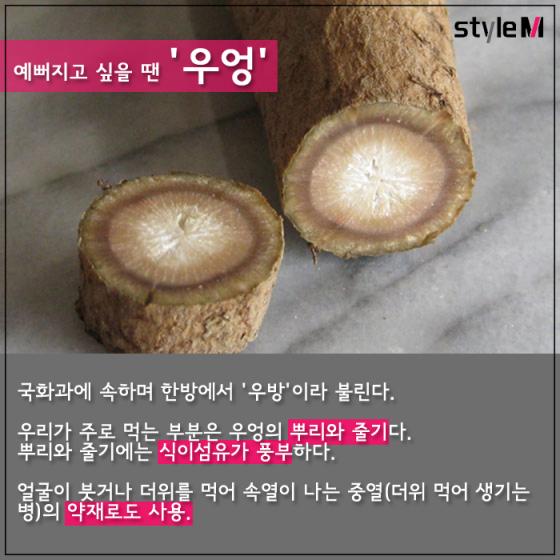[카드뉴스] '밥 반찬의 비밀' 더덕vs우엉…봄에 먹어야 하는 이유?