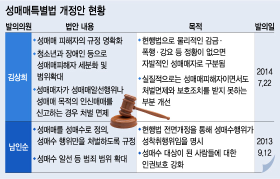 "성매매 개념 바꾸자" 국회 논의…위헌 판결 나면?