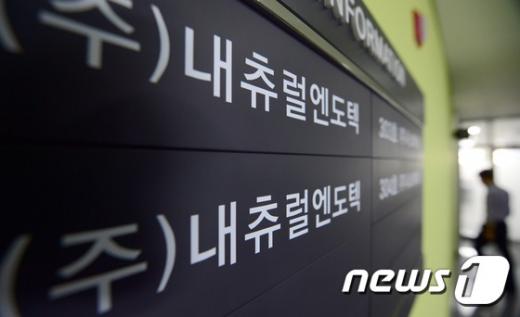 [사진]식약처, 내츄럴엔도텍 백수오 제품 ‘가짜’ 최종결론