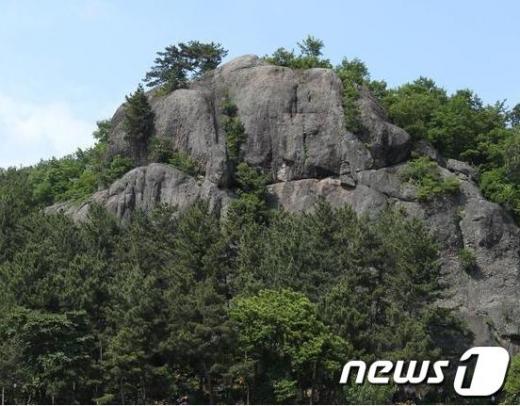 홍익대 교수 시험문제에 