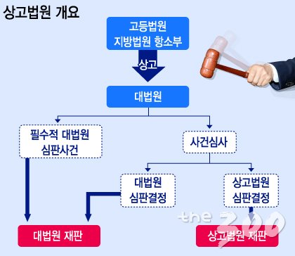 그래픽= 이승현 디자이너