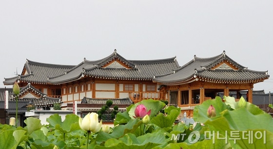 경주 대릉원일원에 조성된 연꽃밭에서 바라본 황남관 전경 /사진=김유경 기자