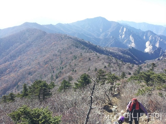 오색케이블카 타고 올라 본 전경은 어떨까 - 머니투데이 오색케이블카 타고 올라 본 전경은 어떨까 - 머니투데이