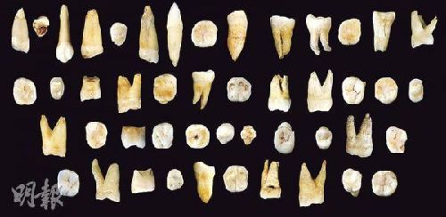中 과학자, 8만 년 전 인류 추정 치아 화석 발견…인류 확산 시기 앞당겨져