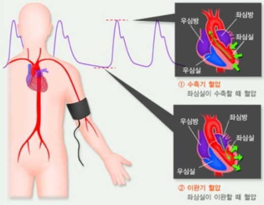 건강검진, 이 정도는 알고 가자