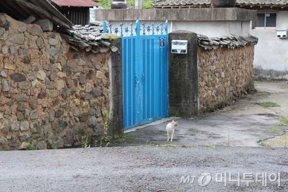 '치유' 필요한 2016년…초록숲을 기다리는 이유