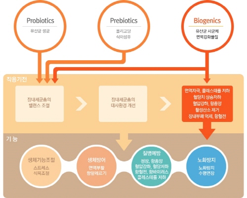 김치유산균 nF1, 대장염 및 대장암 예방 SCI급 논문 통해 인정 - 머니투데이 김치유산균 Nf1, 대장염 및 대장암 예방 Sci급 논문 통해 인정 - 머니투데이