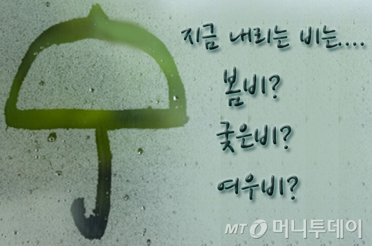 봄비, 가을비, 겨울비…여름비도 있어요? - 머니투데이