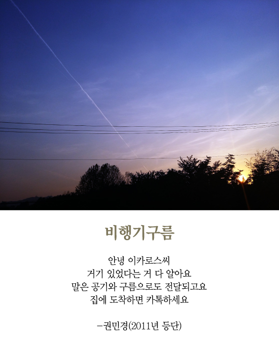 최광임 시인이 읽어주는 디카시] 이카로스닷! - 머니투데이
