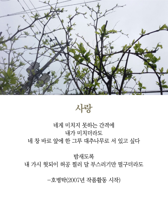 [최광임 시인이 읽어주는 디카시] 사랑의 형식 - 머니투데이