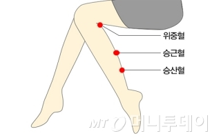 /그래픽=이은 기자