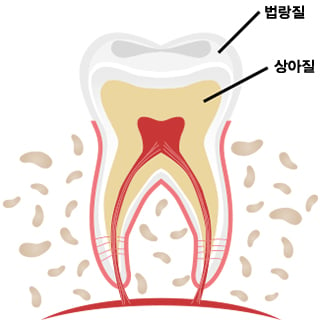 /그래픽=이은 기자