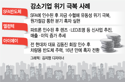 '새주인 만나더니…' 위기에서 부활한 첨단中企들