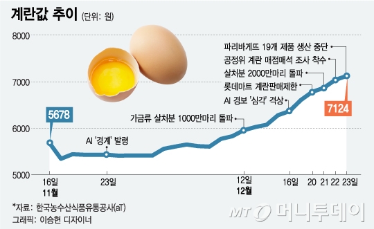 계란 가격