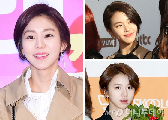 /사진제공=뉴스1, 머니투데이DB