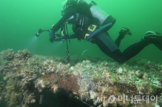 경기도,  어초·어장 관리 사업 착수