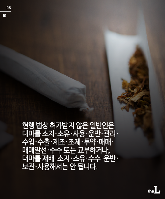 [카드뉴스] 대마초 잔혹사
