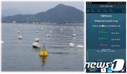빈산소수괴 관측시스템과 스마트폰 앱 정보/자료=해양수산부&copy; News1