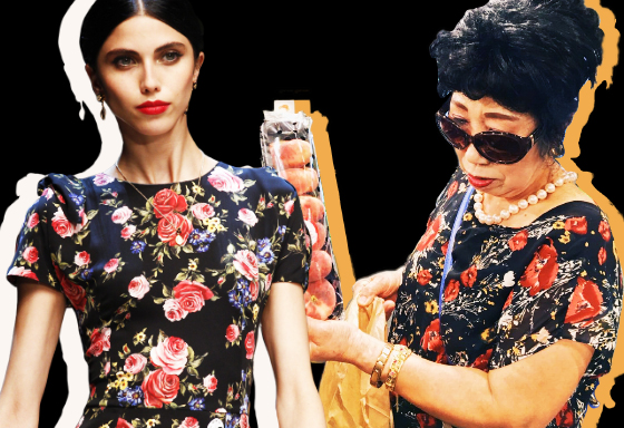 /사진=Dolce &amp; Gabbana, 박막례 할머니 인스타그램