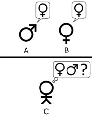 모방 게임에서는 남(A)이 녀(B)를 흉내 낼 때 심판관(C)이 누가 남자이고 누가 여자인가를 맞춰야 한다. 