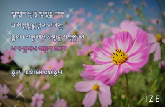윤종신의 이별하는 남자 - 머니투데이 윤종신의 이별하는 남자 - 머니투데이