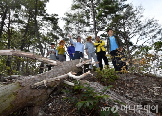 사진제공=산림청