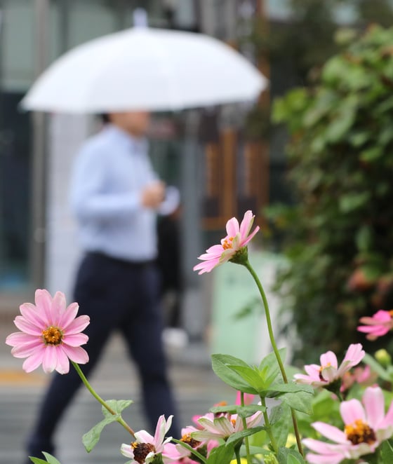 서울 청계광장에서 우산을 쓴 시민들이 발걸음을 재촉하고 있다. /사진=뉴스1