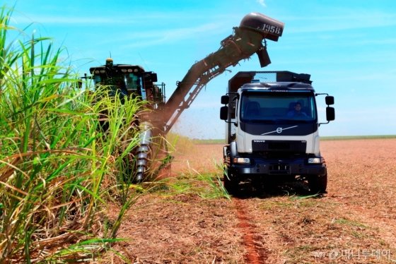 브라질의 한 농장에서 플래투닝' 시스템을 활용해 사탕수수를 수확 중인 자율주행 트럭/사진제공=볼보트럭