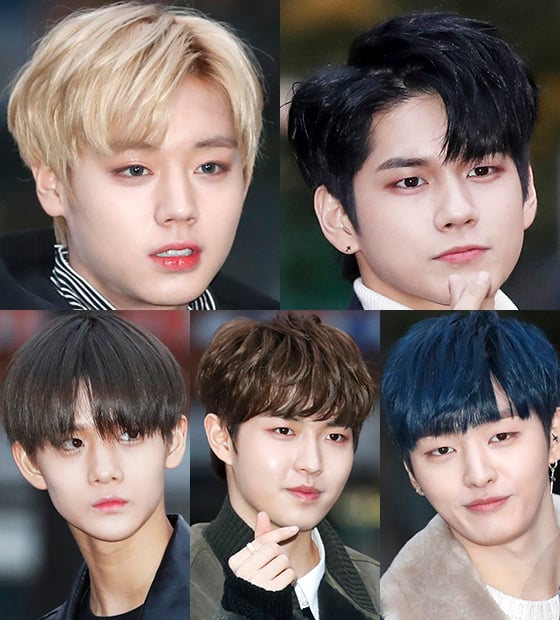 (시계방향으로) 박지훈, 옹성우, 윤지성, 김재환, 배진영/사진=머니투데이DB, 뉴스1