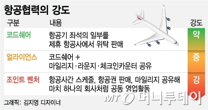 대한항공-델타항공 JV 인가 늦춰지는 이유는 - 머니투데이 대한항공-델타항공 Jv 인가 늦춰지는 이유는 - 머니투데이